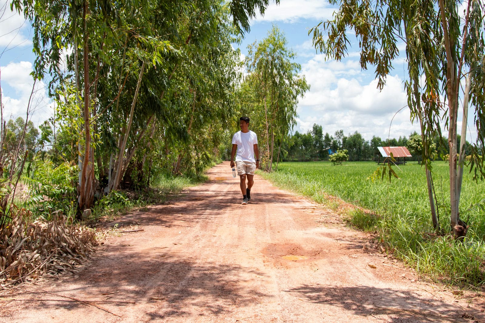 Weeraphon wandelend de rijstvelden in Isaan Thailand