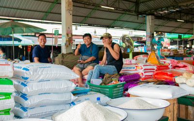 De ultieme gids voor Thaise Jasmijnrijst: Alles wat je wilt weten